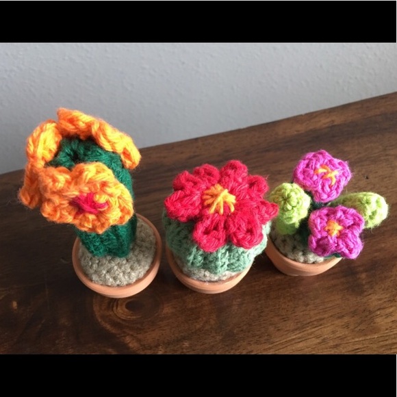 🌵Mini Cactus 🌵 - Picture 2 of 2